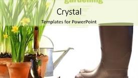  Presentation with boot camp boots - Presentation enhanced with spring garden - pots of daffodils with rubber background and a blonde colored foreground