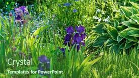  Presentation with season - Presentation theme enhanced with spring-garden-with-season-flowers background and a forest green colored foreground