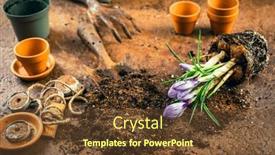  Presentation with soil - Presentation theme with spring-gardening-concept-gardening-tools background and a tawny brown colored foreground