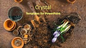  Presentation with soil - Presentation theme with spring-gardening-concept-gardening-tools background and a tawny brown colored foreground