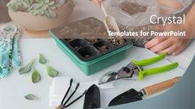  Presentation with home gardening - Slide deck consisting of spring-gardening-seedling-leaf-propagation background and a coral colored foreground