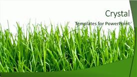  Presentation with art white gray grey - Beautiful PPT theme featuring spring grass isolated on white backdrop and a  colored foreground