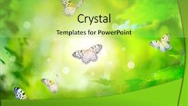  Presentation with abstract spring green - Cool new PPT layouts with spring green background with butterfly backdrop and a yellow colored foreground
