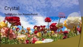  Presentation with postcard - Colorful presentation design enhanced with spring holiday greeting postcard multi backdrop and a light blue colored foreground