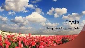  Presentation with israel - Colorful presentation design enhanced with spring in a kibbutz in southern israel boundless field with blooming garden backdrop and a light blue colored foreground