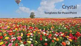  Presentation with diversity bright colors - Cool new theme with spring in israel bright striped backdrop and a light blue colored foreground