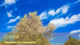  Presentation with oil production - Slide set consisting of spring-in-israel-light-spring background and a  colored foreground