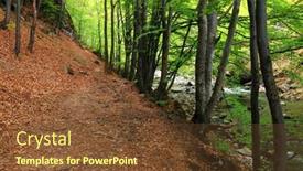  Presentation with transylvania - Presentation design consisting of spring-in-ramet-gorges-transylvania background and a tawny brown colored foreground