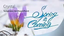  Presentation with spring - PPT layouts enhanced with spring-is-coming-text-spring background and a light blue colored foreground