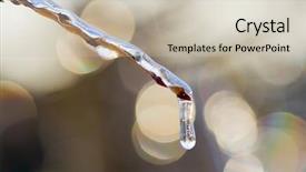  Presentation with spring - Presentation theme having spring is coming background and a soft green colored foreground