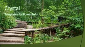  Presentation with wood bridge - Beautiful slide set featuring spring lake - wood bridge in the forest backdrop and a forest green colored foreground