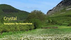  Presentation with transylvania - Audience pleasing PPT theme consisting of spring landscape in piatra secuiului mountain 1129m transylvania romania europe backdrop and a tawny brown colored foreground