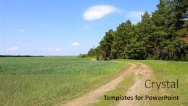 Presentation with forest road green - PPT theme with spring-landscape-in-steppe background and a yellow colored foreground