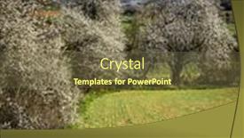  Presentation with tree spring flowers apple flowers - PPT theme enhanced with spring-landscape-view background and a tawny brown colored foreground