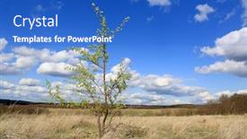  Presentation with spring tree - Slide deck having spring-landscape-with-alone-tree background and a cobalt blue colored foreground