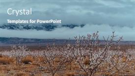 Presentation with apricot - Theme having spring-landscape-with-apricot-trees background and a teal colored foreground