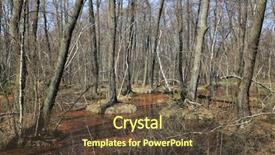  Presentation with deep - Colorful slide set enhanced with spring landscape with bog backdrop and a tawny brown colored foreground