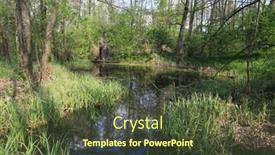  Presentation with forest - Beautiful presentation theme featuring spring-landscape-with-bog backdrop and a tawny brown colored foreground