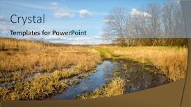  Presentation with root - Amazing slides having spring-landscape-with-flooded-root backdrop and a light blue colored foreground