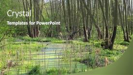  Presentation with spring - Colorful presentation theme enhanced with spring-landscape-with-green-bog backdrop and a tawny brown colored foreground