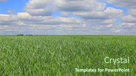  Presentation with agricultural - Presentation theme featuring spring-landscape-with-green-grass background and a tawny brown colored foreground