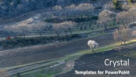  Presentation with lavender - Presentation design with spring-landscape-with-lavender-field background and a ocean colored foreground