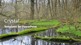  Presentation with swamp - Presentation theme having spring-landscape-with-old-woods background and a violet colored foreground
