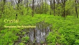  Presentation with meadow - PPT layouts consisting of spring-landscape-with-puddle background and a tawny brown colored foreground