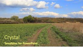  Presentation with poultry farm biology - Colorful PPT layouts enhanced with spring-landscape-with-rut-road backdrop and a tawny brown colored foreground