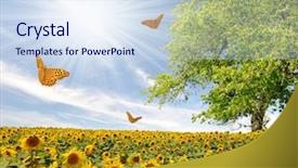  Presentation with sunflower - Colorful PPT theme enhanced with blue butterfly - spring landscape with sunflower field backdrop and a sky blue colored foreground