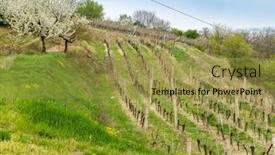  Presentation with region - PPT layouts featuring spring-landscape-with-vineyrd background and a gold colored foreground