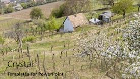  Presentation with hungary - Presentation theme enhanced with spring-landscape-with-vineyrd background and a coral colored foreground