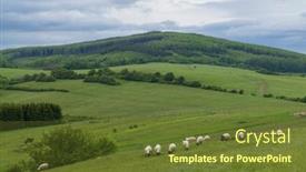  Presentation with czech republic - Slides having spring-landscape-with-white-sheep background and a tawny brown colored foreground