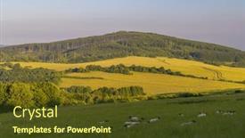  Presentation with sheep - Presentation design consisting of spring-landscape-with-white-sheep background and a tawny brown colored foreground