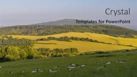  Presentation with sheep - Slide set consisting of spring-landscape-with-white-sheep background and a light blue colored foreground