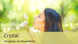  Presentation with dandelion - PPT theme with spring lawn allergy free background and a yellow colored foreground