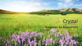  Presentation with beautiful landscapes - PPT layouts enhanced with spring meadow in meadow beautiful background and a yellow colored foreground