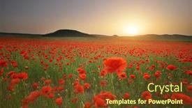  Presentation with poppies - Slide deck having spring-meadow-of-poppies-sunset background and a tawny brown colored foreground