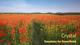  Presentation with poppies - Slide set having spring-meadow-of-poppies-sunset background and a tawny brown colored foreground
