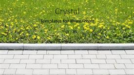  Presentation with meadow - Beautiful PPT theme featuring spring-meadow-with-a-lot backdrop and a gold colored foreground