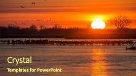  Presentation with cranes on buildings - PPT theme featuring spring migrating sandhill cranes moving background and a tawny brown colored foreground