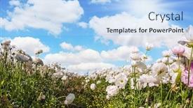  Presentation with postcard - Cool new presentation theme with spring-mood-greeting-card-spring backdrop and a light blue colored foreground