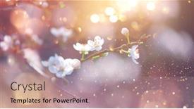  Presentation with abstract art - Audience pleasing slides consisting of spring-nature-easter-art-background backdrop and a coral colored foreground