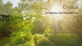  Presentation with forest beautiful spring nature - Beautiful PPT layouts featuring spring-nature-scene-beautiful-landscape backdrop and a soft green colored foreground