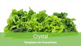  Presentation with lettuce - Beautiful theme featuring ginger cookies on a plate words on a paper sticker love backdrop and a coral colored foreground.