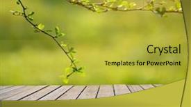  Presentation with empty of wood table top - Audience pleasing PPT theme consisting of spring or summer background empty backdrop and a yellow colored foreground