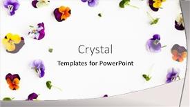  Presentation with edible flower - Amazing PPT theme having spring-or-summer-flower-composition backdrop and a white colored foreground