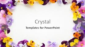  Presentation with edible flower - Colorful PPT theme enhanced with spring-or-summer-flower-composition backdrop and a white colored foreground