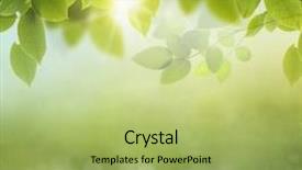  Presentation with spring nature grass - Amazing PPT theme having photosynthesis - spring or summer season abstract backdrop and a mint green colored foreground