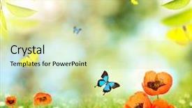  Presentation with abstract spring green - Audience pleasing theme consisting of spring-or-summer-season-abstract backdrop and a soft green colored foreground